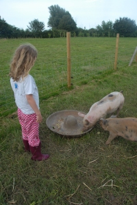PJs and pigs - E on a pre-bedtime visit to take the pigs some treats